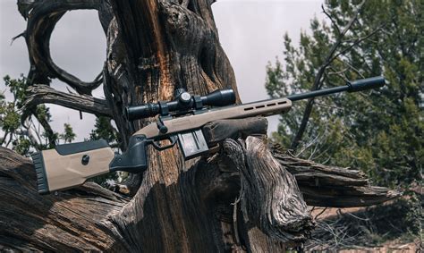 best 6.5 creedmoor target rifle.